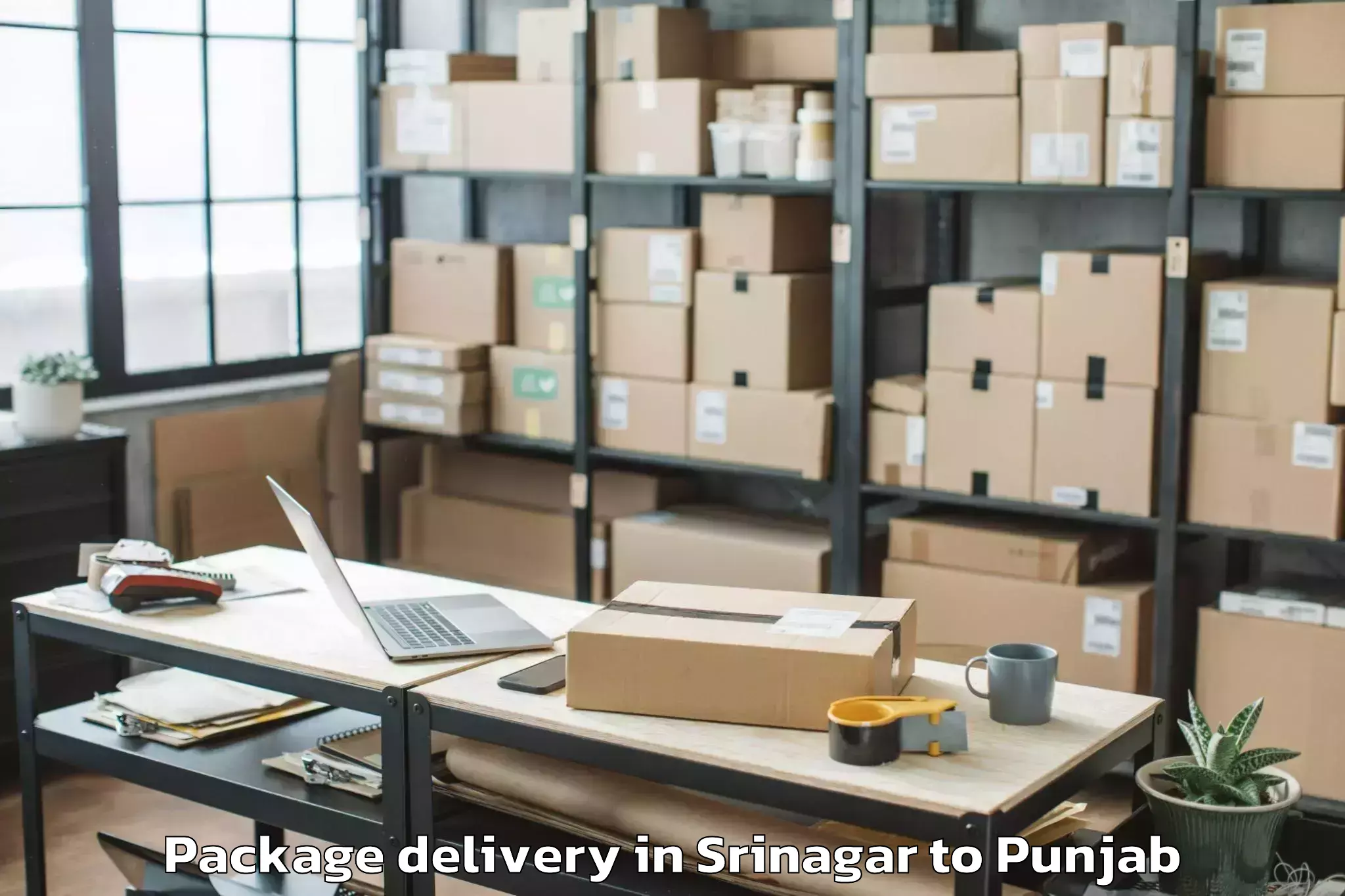 Srinagar to Dhuri Package Delivery Booking